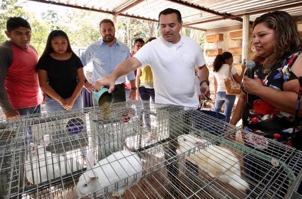 8DABC118-B21B-4F40-865A-26D9FEC3C857