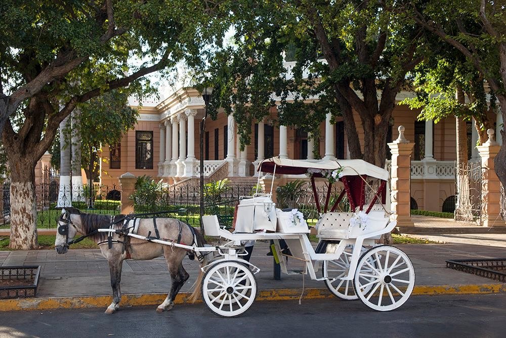 190A67E2-2F8B-4F2F-A21B-32D1FD494FD9