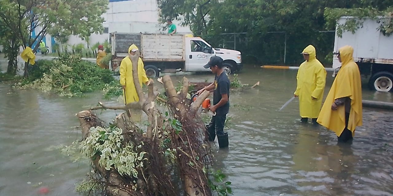 B477AA10-FC49-4F45-B471-5344F17891CF