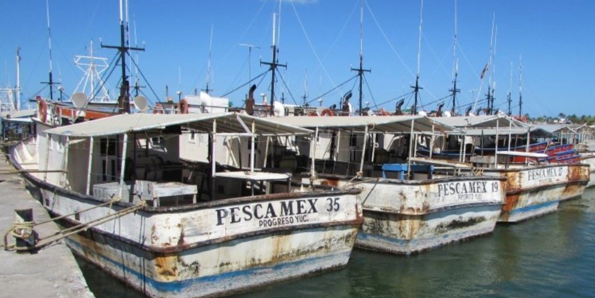 barcos pesqueros3