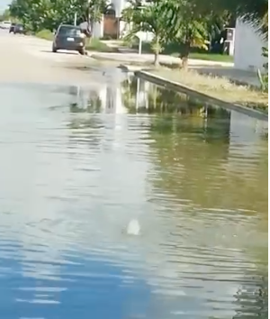 Captura de Pantalla 2020-10-18 a la(s) 19.47.54