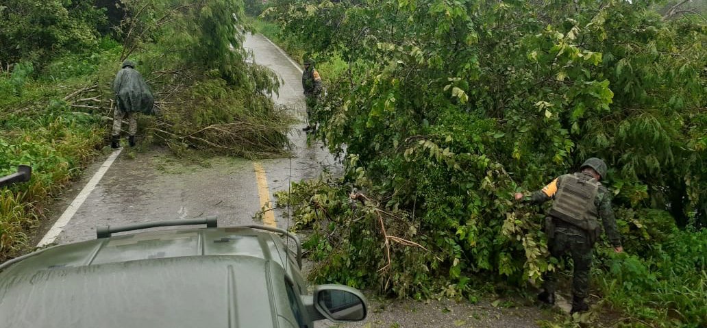 F4A425B7-52FC-49B2-B1DD-A26E496B960E