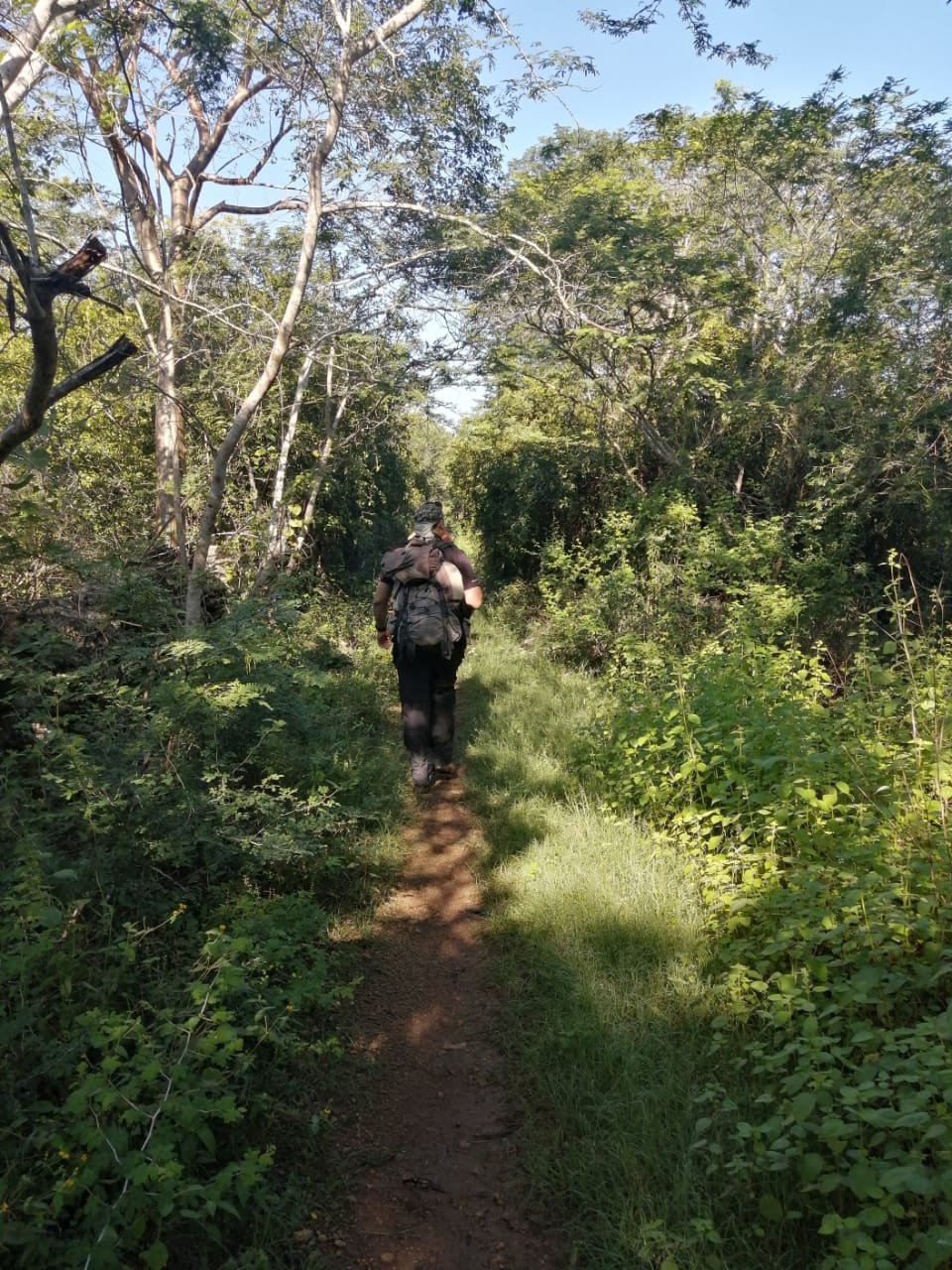 Iniciando por los senderos de la Reserva Cuxtal