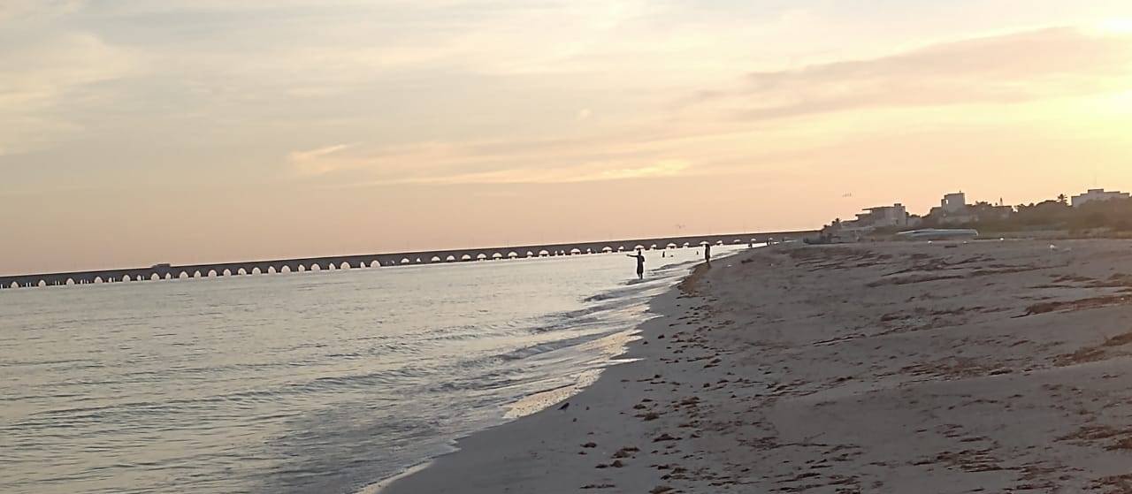 progreso 2020WhatsApp Image 2020-10-16 at 3.16.10 PM-5