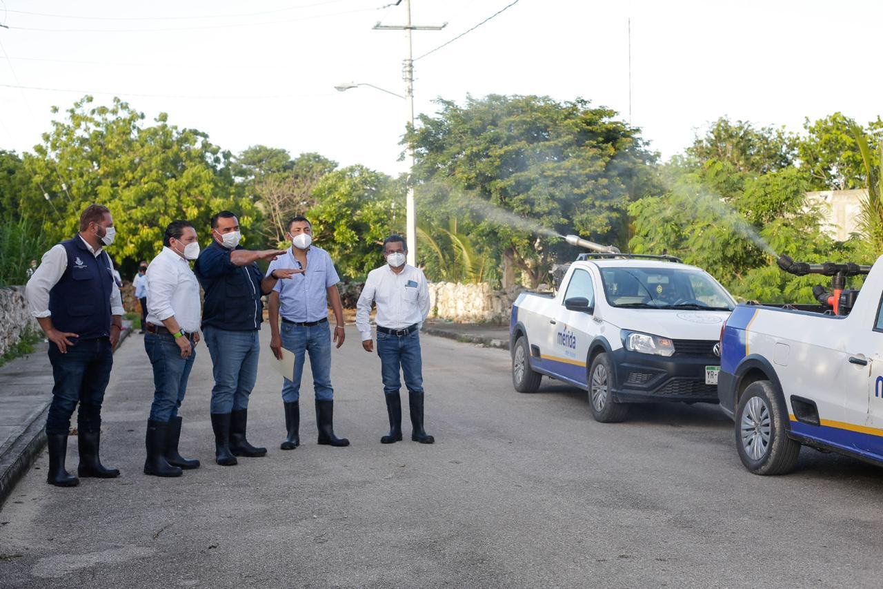 WhatsApp Image 2020-10-13 at 8.34.27 PM