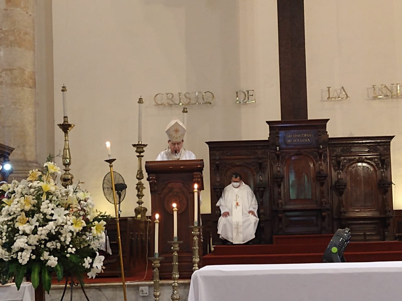 WhatsApp Image 2021-01-06 at 3.16.02 PM-5