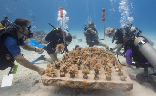 Screenshot_2021-02-02 GoodNews ENE 2021 - GoodNews_FEB_2021 pdf