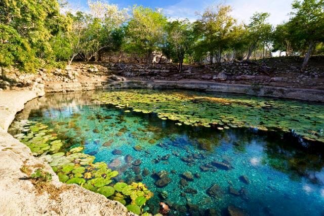 F014B072-4D6A-4C3E-A147-0C1E7CF7CE2E