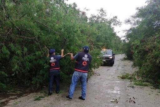 672CEC47-A116-4B34-A772-88BB4E5E8541_4_5005_c