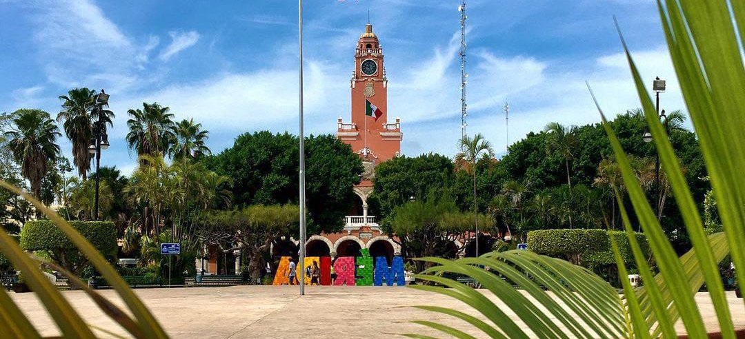 WhatsApp Image 2021-11-30 at 9.34.13 PM