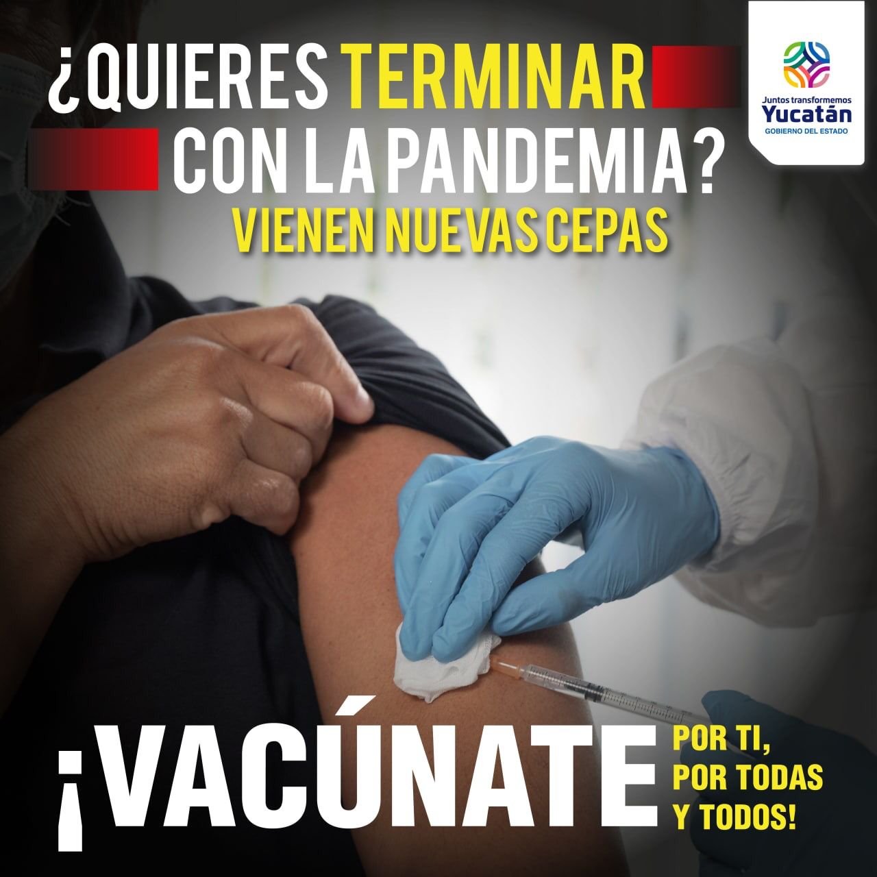 WhatsApp Image 2021-12-03 at 1.47.22 PM