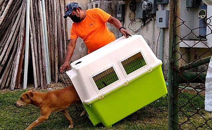 A25289F7-5E3A-468E-B1E4-64ED00EDAC10