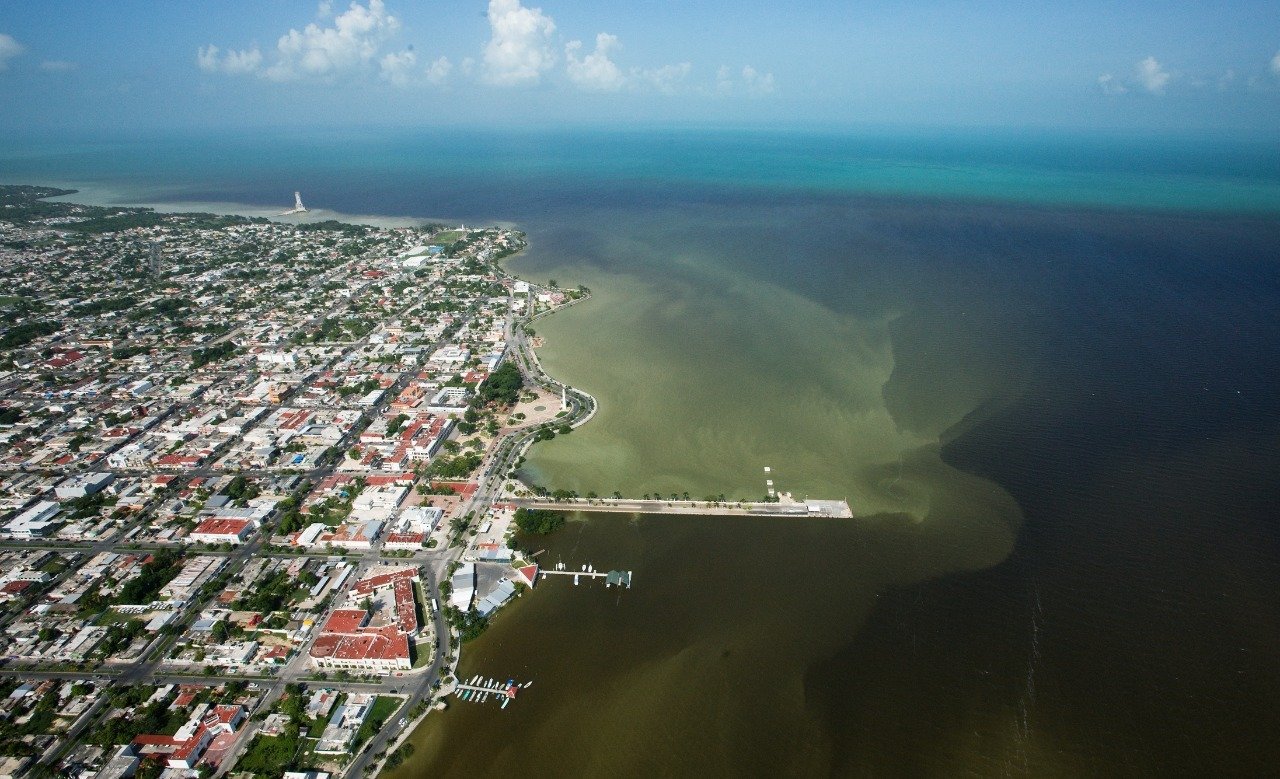 WhatsApp Image 2022-02-15 at 11.08.20 AM