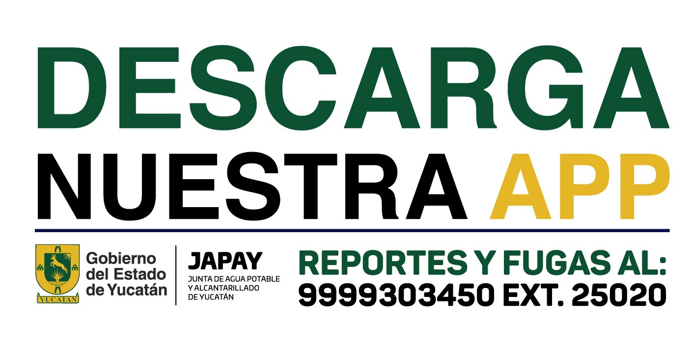 Banner 339x170_Mesa de trabajo 1