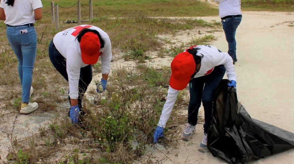 BDCF58BB-66DB-47CC-9225-BABD71788DB8_1_201_a