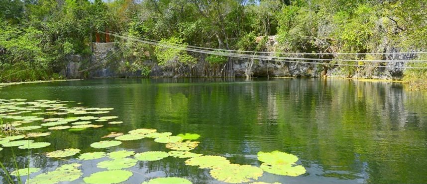 EE289FBE-B39B-4681-B50B-F30B06E950BD_1_201_a