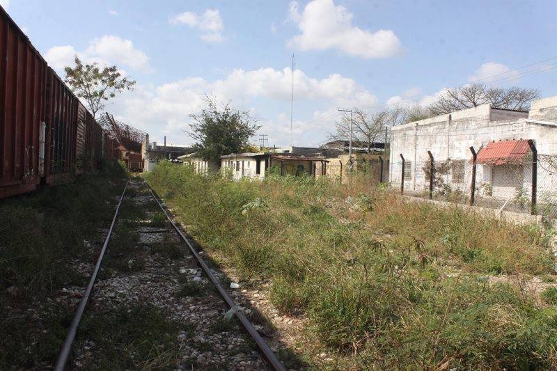 la plancha 2126731675_2098056280429348_2082293452861502153_n