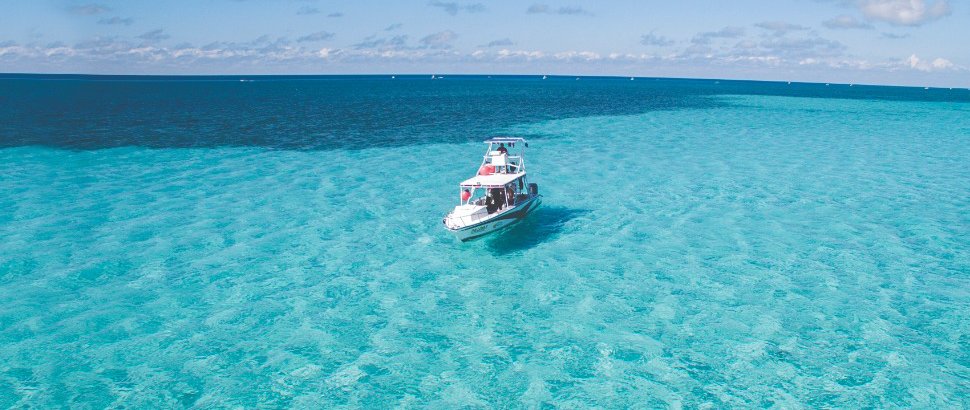 WhatsApp Image 2022-05-10 at 2.51.07 PM