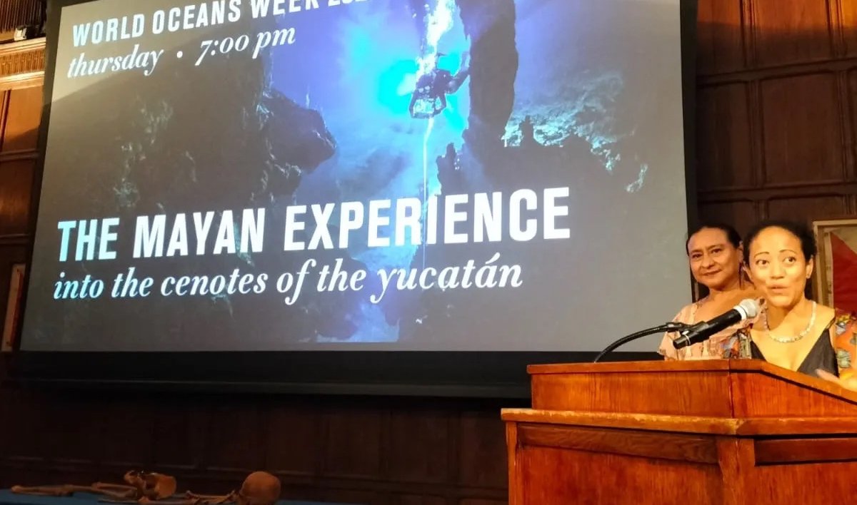 0BFE21BA-AEF3-4FBF-BE4A-271F6903A079