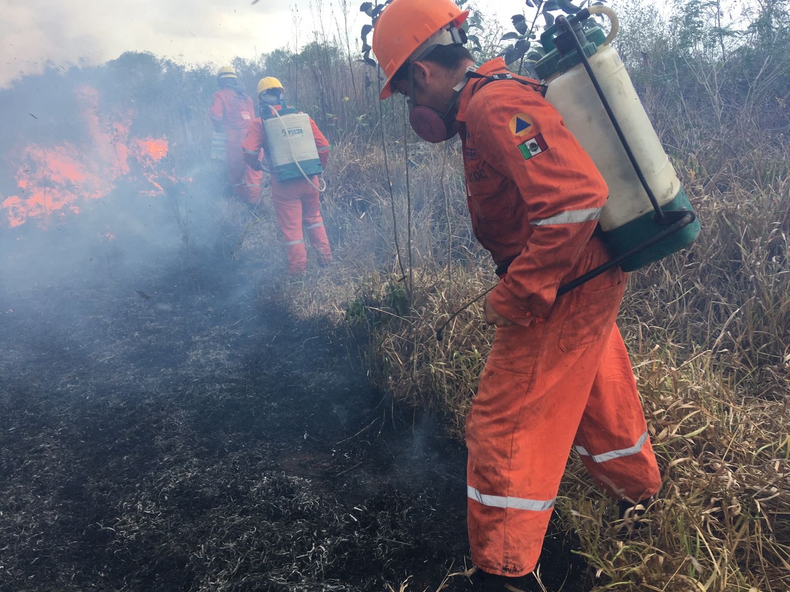 161684AF-49BD-4298-B6C1-39B3E0988505