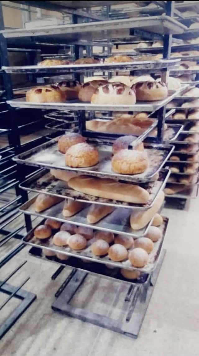 49F40646-BCA9-4A3D-B232-6593C0FE592C