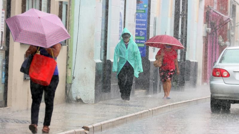 f800x450-569905_621351_5050