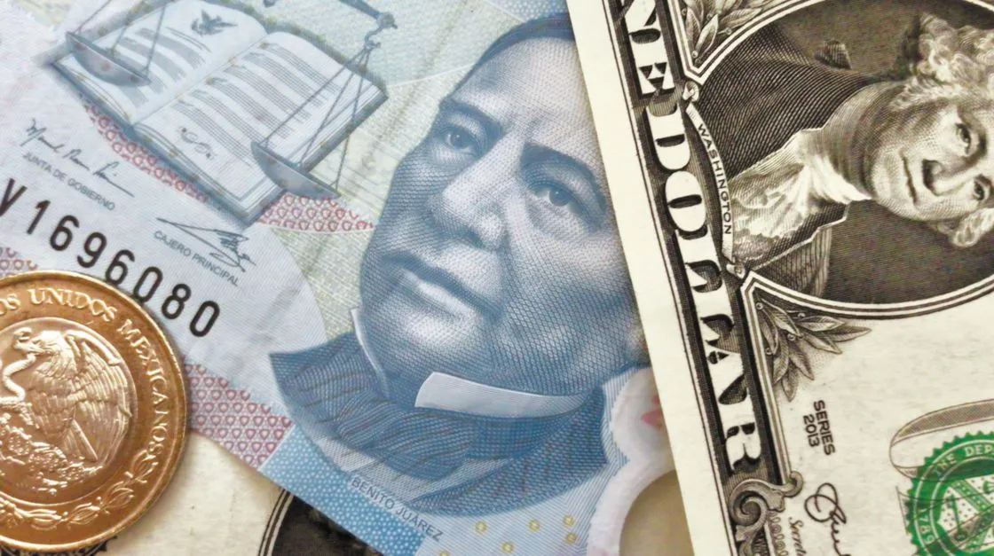 shutterstock_642548038.jpg_328101988.webp?w=1024