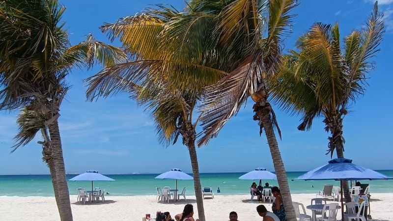 f800x450-578692_630138_5050.jpg?w=800