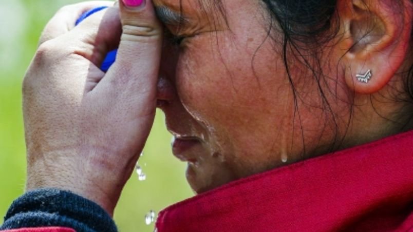 f804x452-581782_633715_0.jpg?w=804