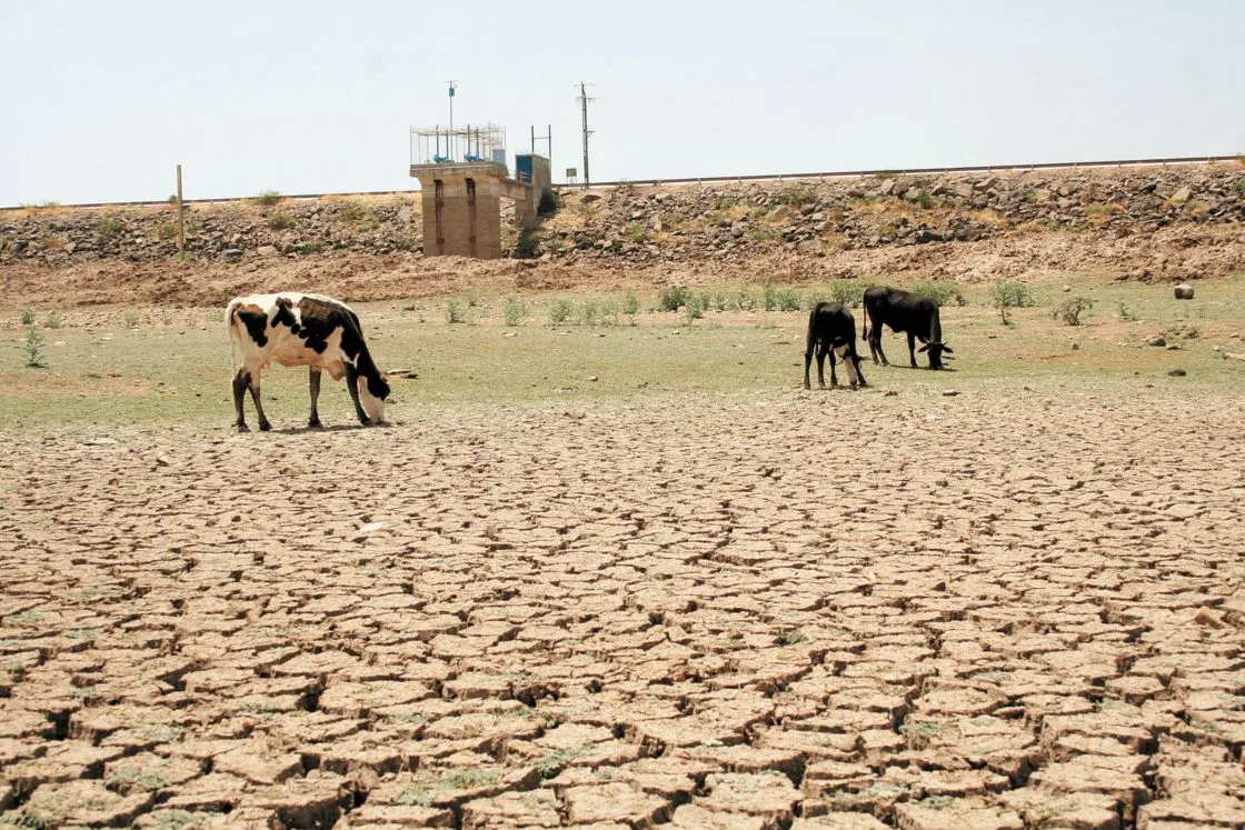 sequia_presas_querxtaro_x5x.jpg_2118499843.webp?w=1024