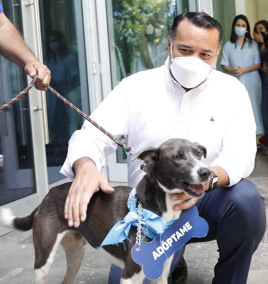 WhatsApp Image 2022-07-03 at 3.27.19 PM